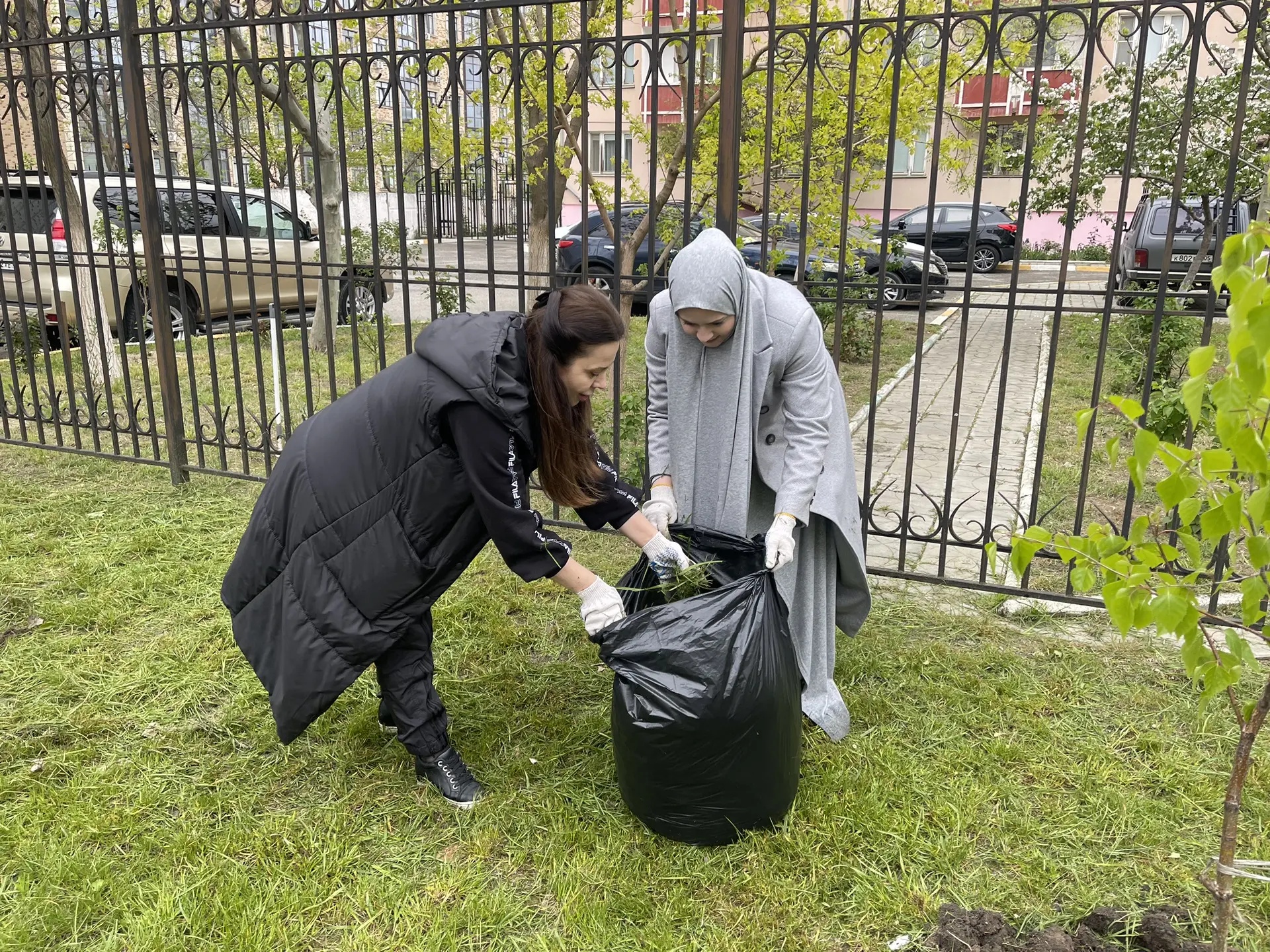 После уборки, газоны стали аккуртнее